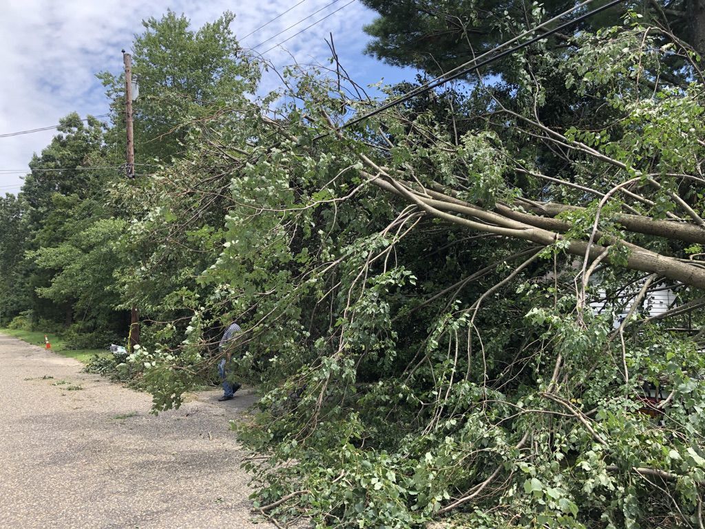 Tropical Storm Isaias aftermath in Hammonton